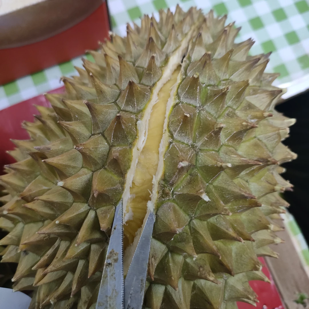 干扰鲜榴莲核小1g5斤左右金枕泰国