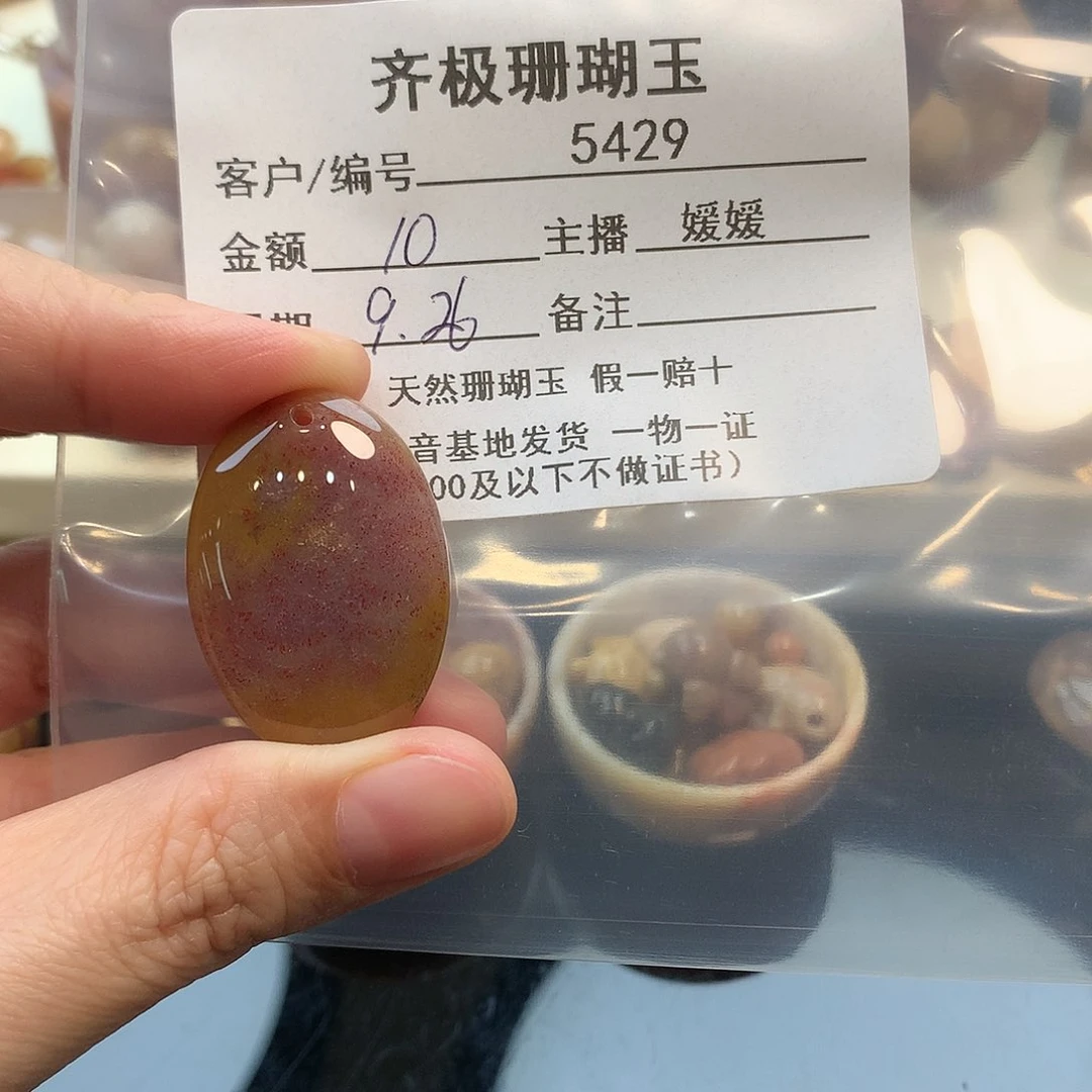 颈饰未镶嵌硅化珊瑚（珊瑚玉）?***?