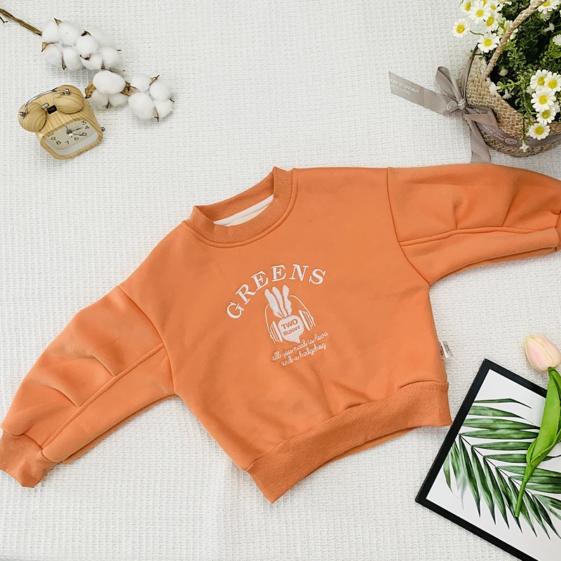 儿童小童卫衣上衣春秋冬季保暖休闲卫衣男宝女宝萝卜Y4611407