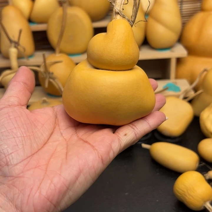 冰****y55666666999999