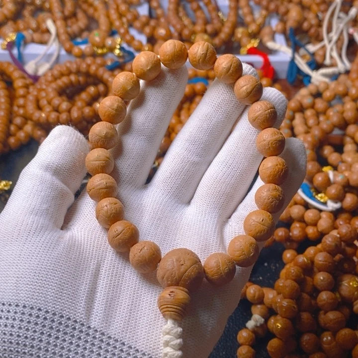 春*尼泊尔凤眼菩提树籽