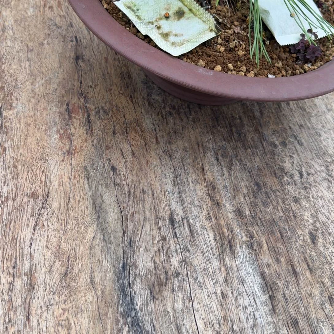 无花朵盆景肥料50小包包邮