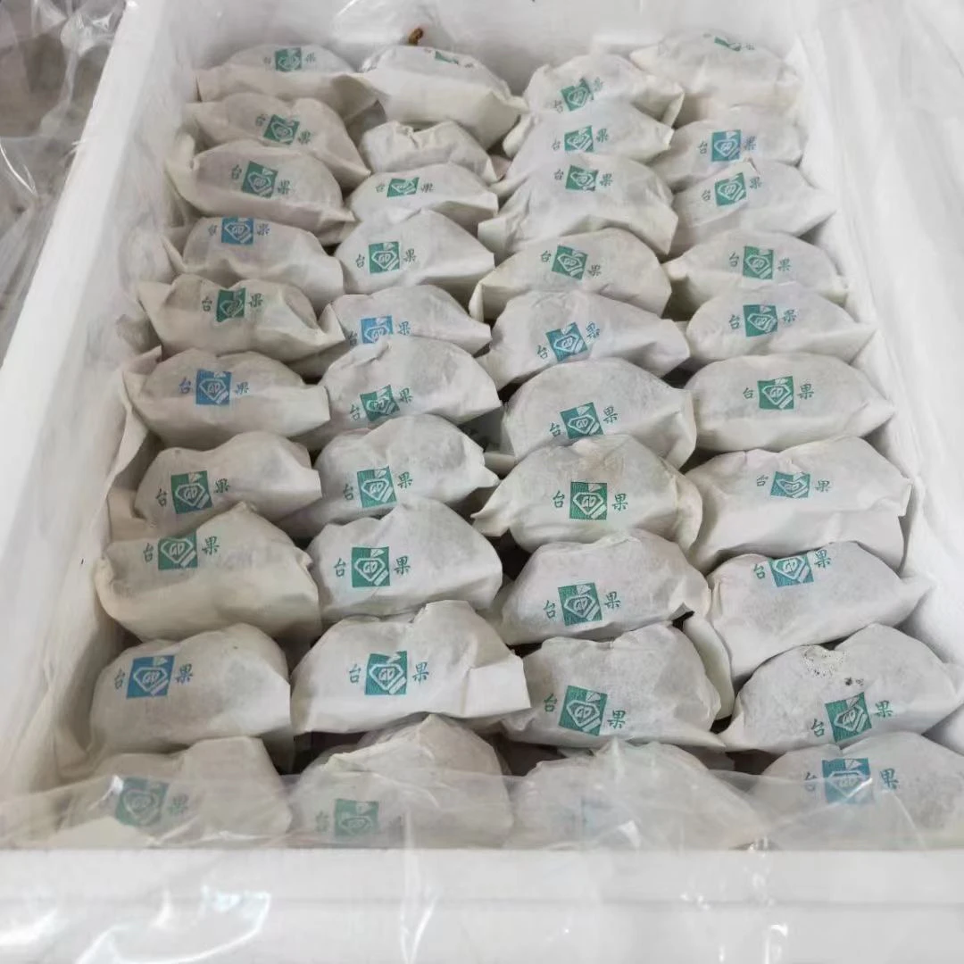 （送礼精装果）套袋黑珍珠大樱桃