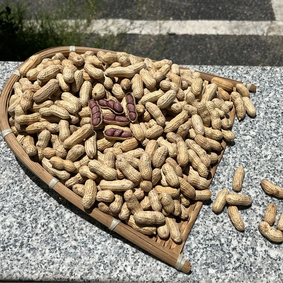云浮新兴县里洞水煮红衣花生