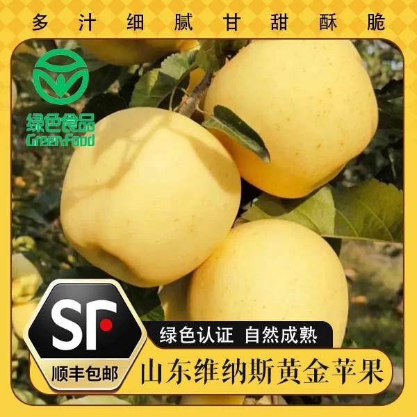 顺丰包邮   维纳斯黄金苹果 绿色种植 甘甜 产地果园现摘新鲜水果