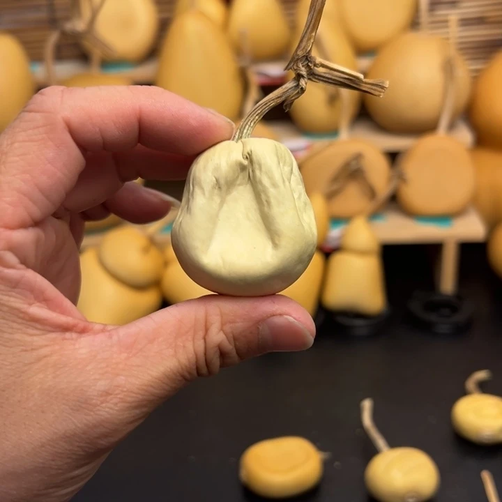 王*维5556666656565656