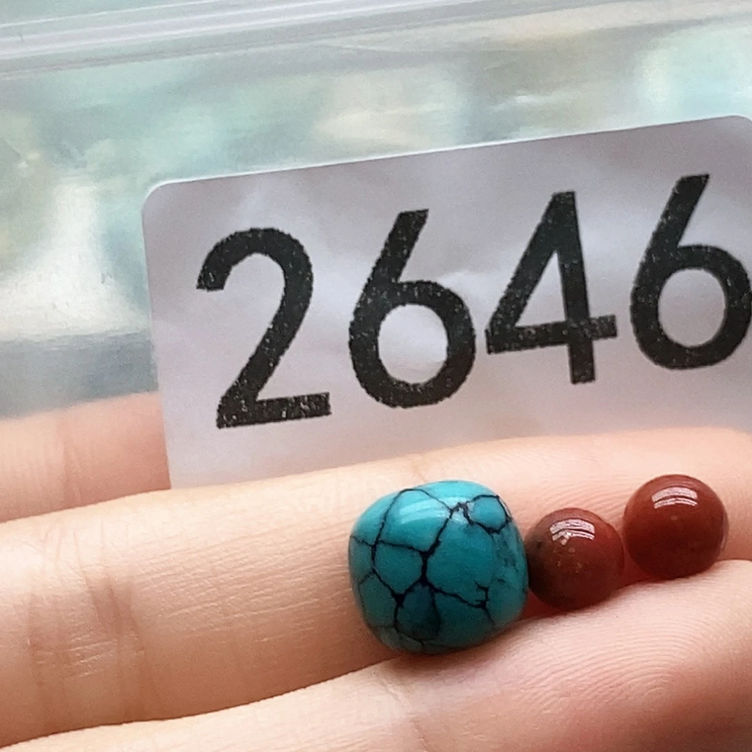 南红玛瑙未镶嵌颈饰