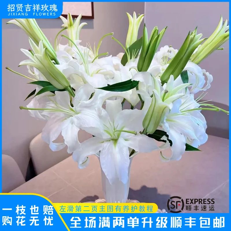 【西伯利亚A/B】  山东基地直发 现采现摘  顺丰包邮到家 直播专享