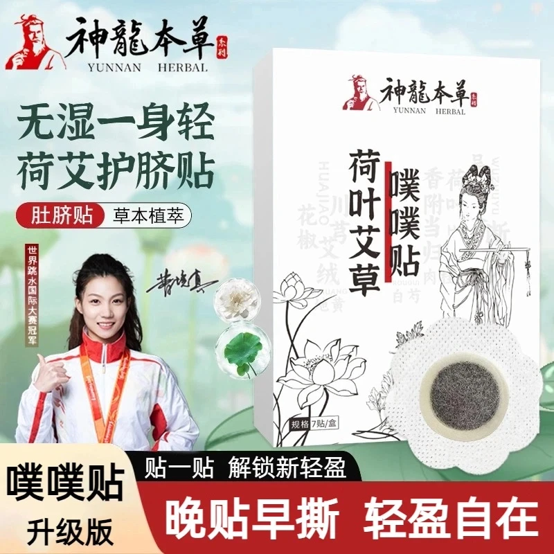 南怀瑾配方升级荷叶艾草噗噗贴陈艾艾绒草本家用肚脐贴