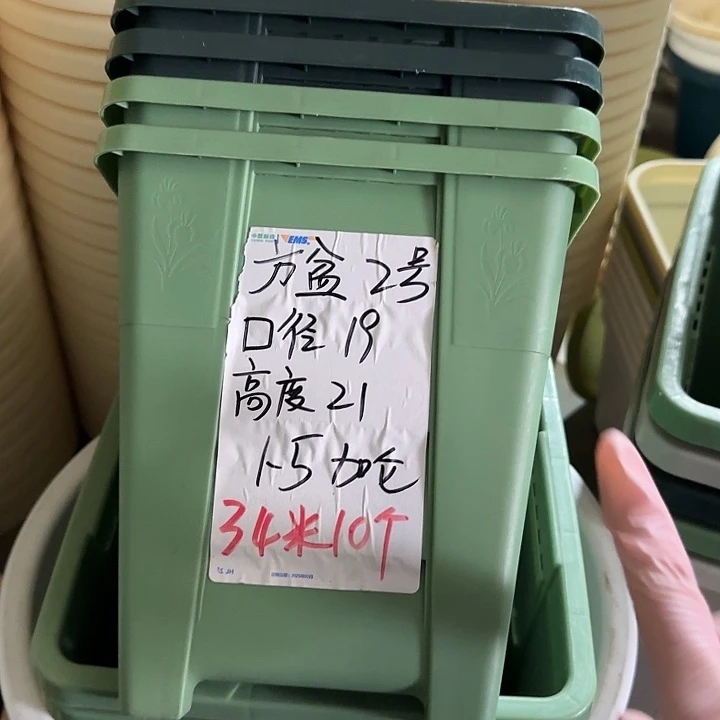 方盆2#口径19无托浅绿10个