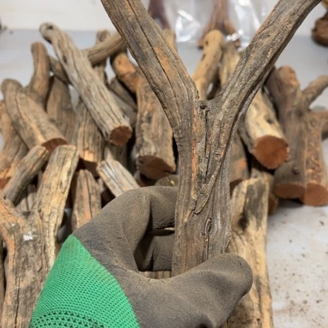 大果紫檀（缅甸花梨）N*