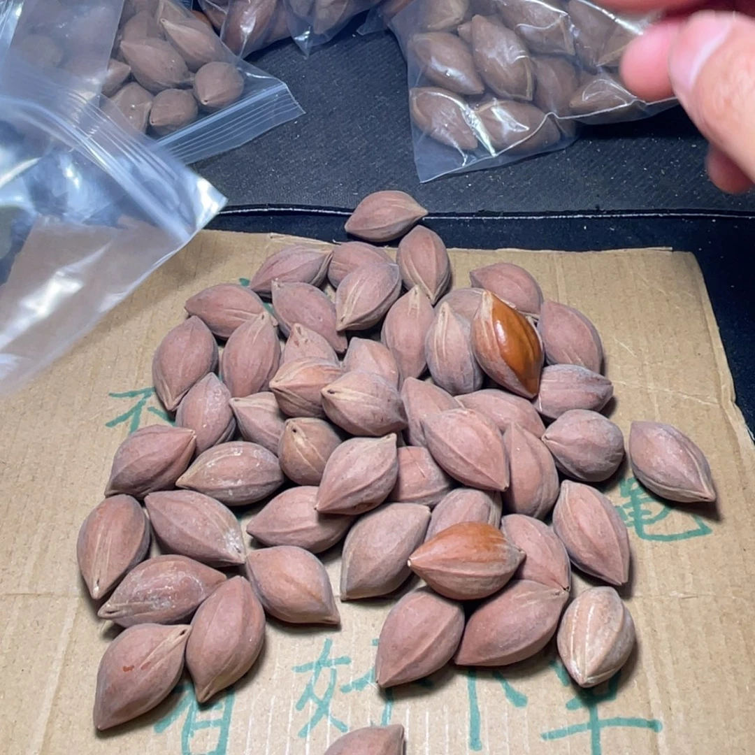 S*H不退不换ddassd