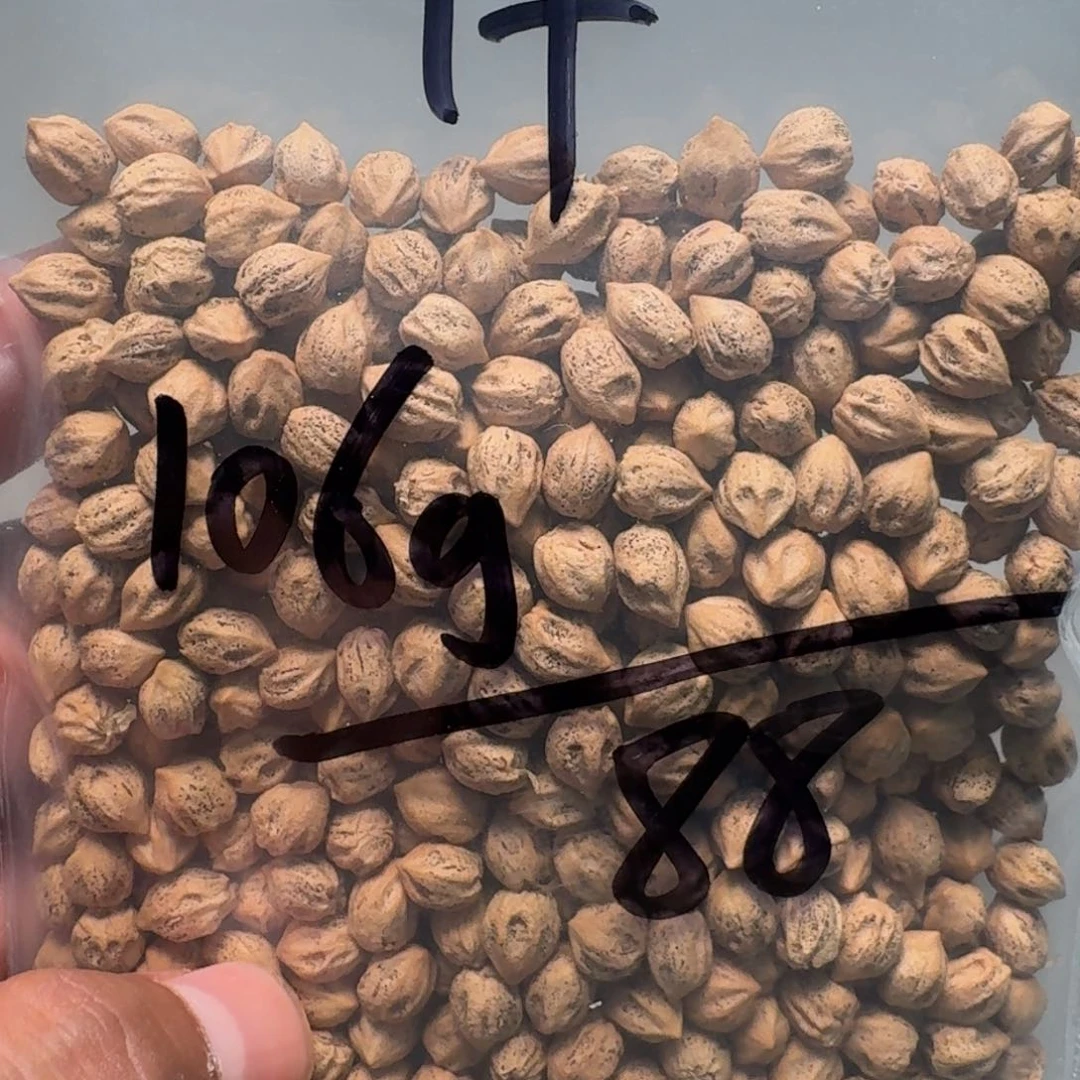 柏香籽/百香籽吊坠朱**顺