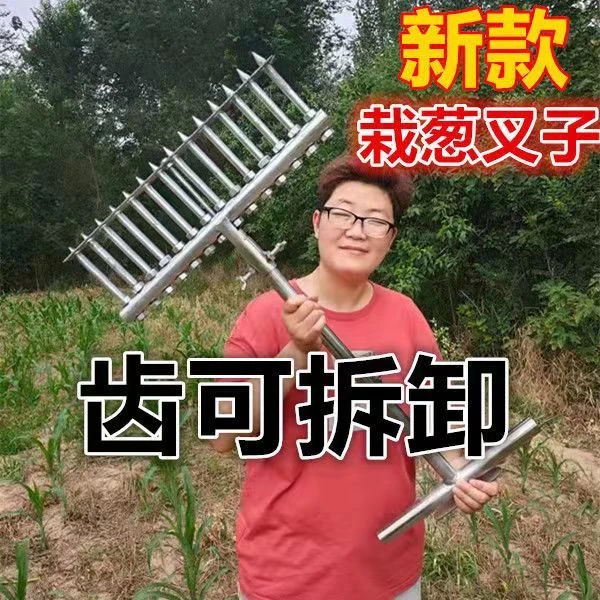 工具打孔栽葱扎眼双排栽葱农用打孔叉子插葱葱神器器器打眼新款