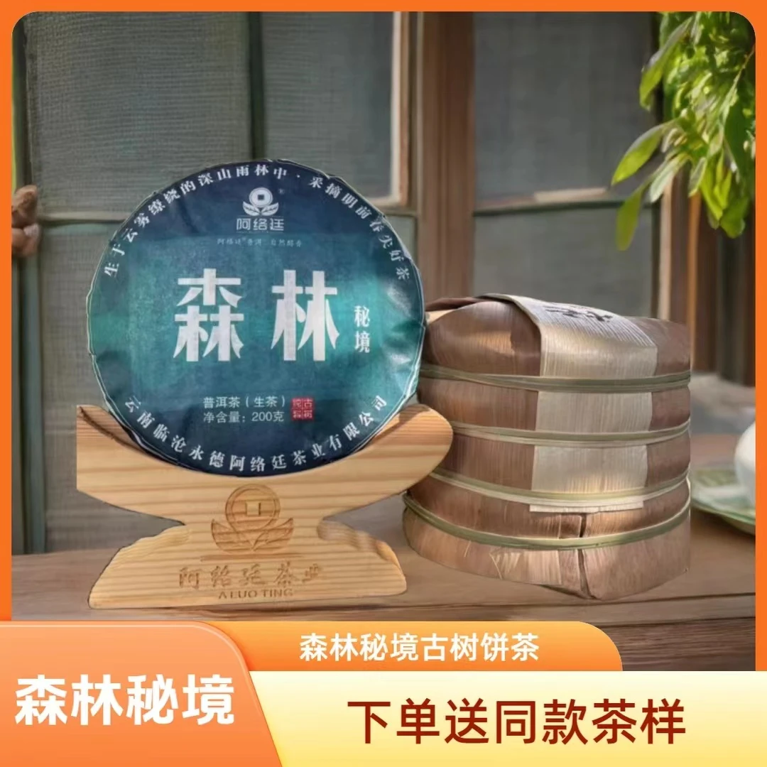 【云南普洱茶生茶】2024年森林秘境单株 200克  饼茶