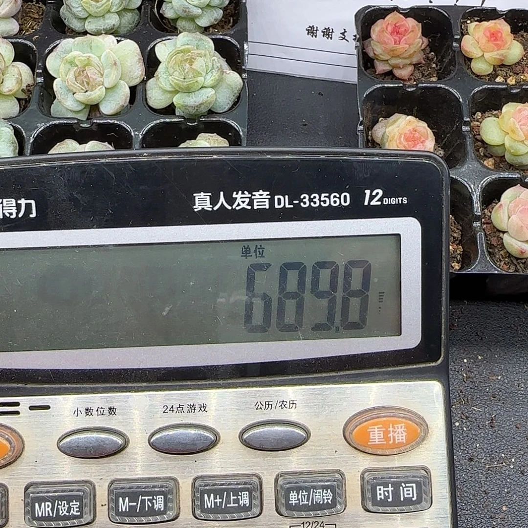 熊***宝30组福利【满29包邮非偏远】