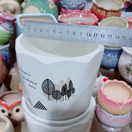 红陶11111111111111111111