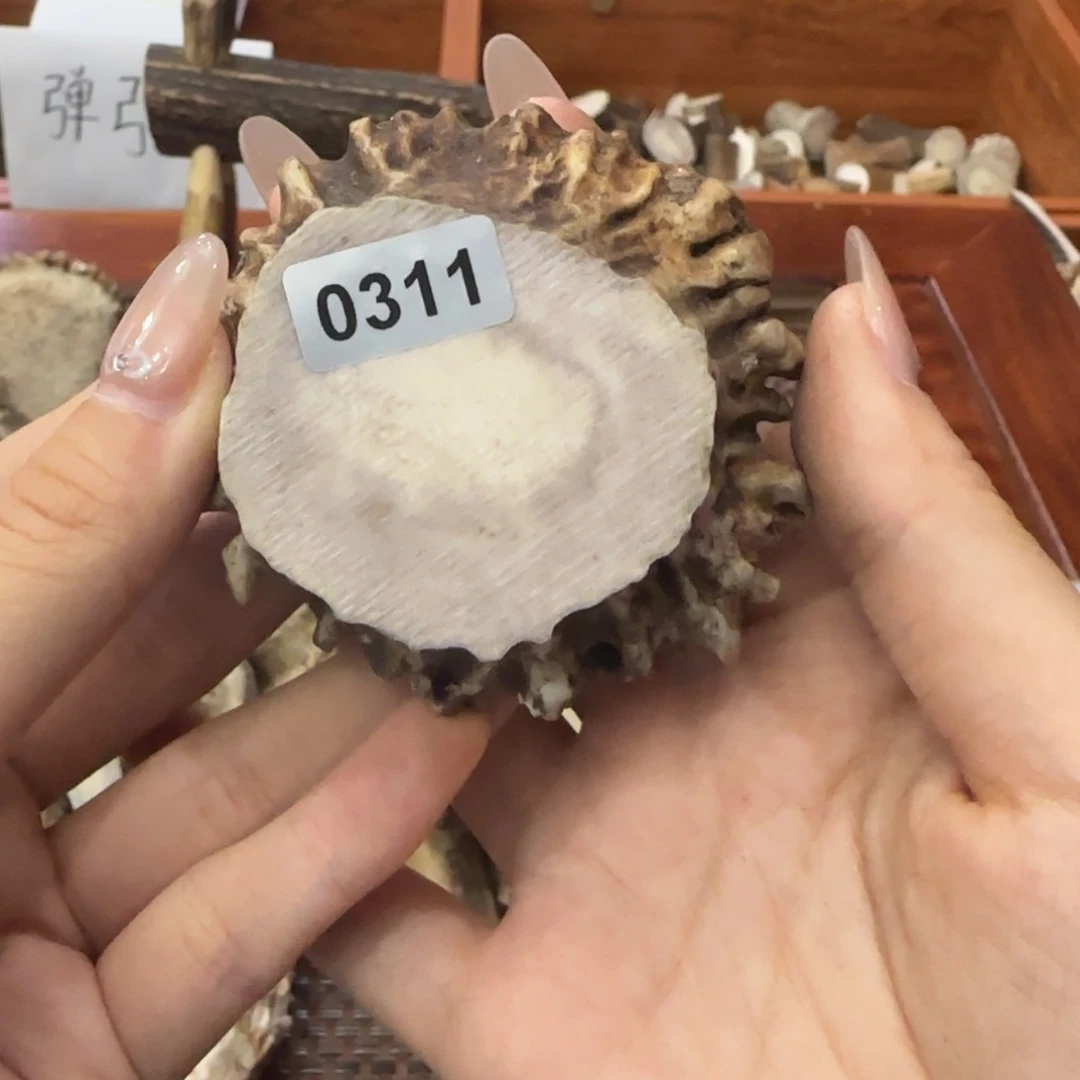 鹿骨其他0311角帽6.5×3.6cm