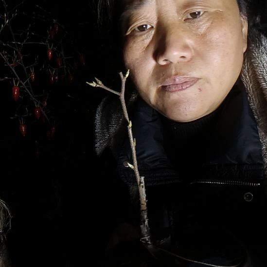 雪***兔无花朵42555856699999