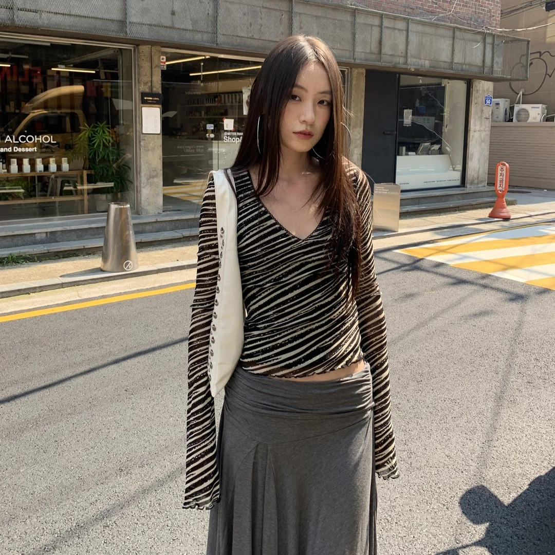 斑马纹长袖t恤上衣女秋2025新款轻熟网纱轻薄v领打底衫