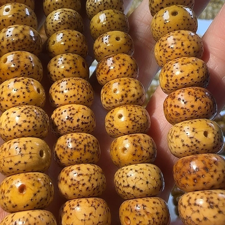 老脱脂星月菩提114