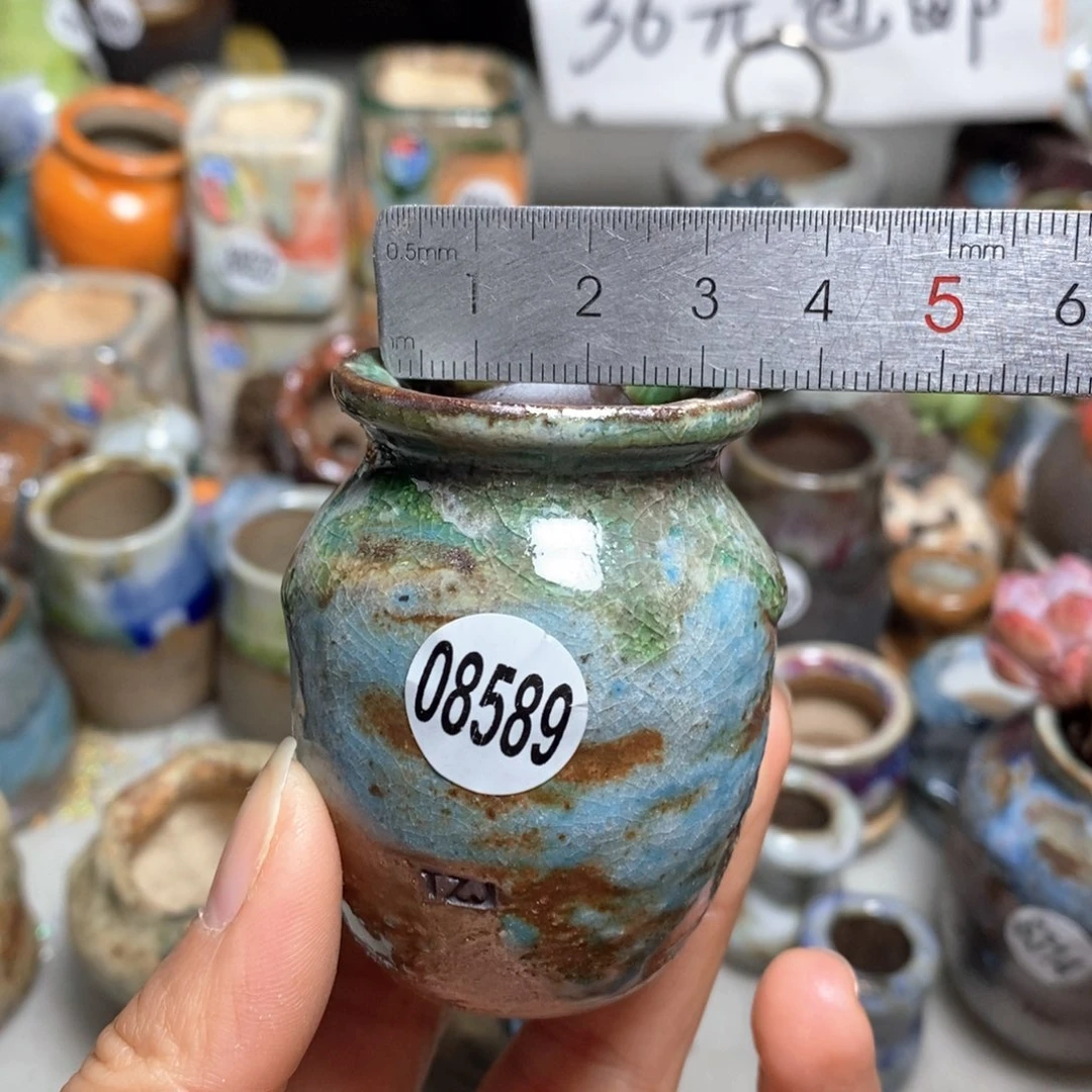 花盆拍5送一个小礼物