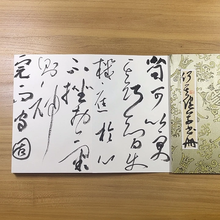 书法中书协会员作品