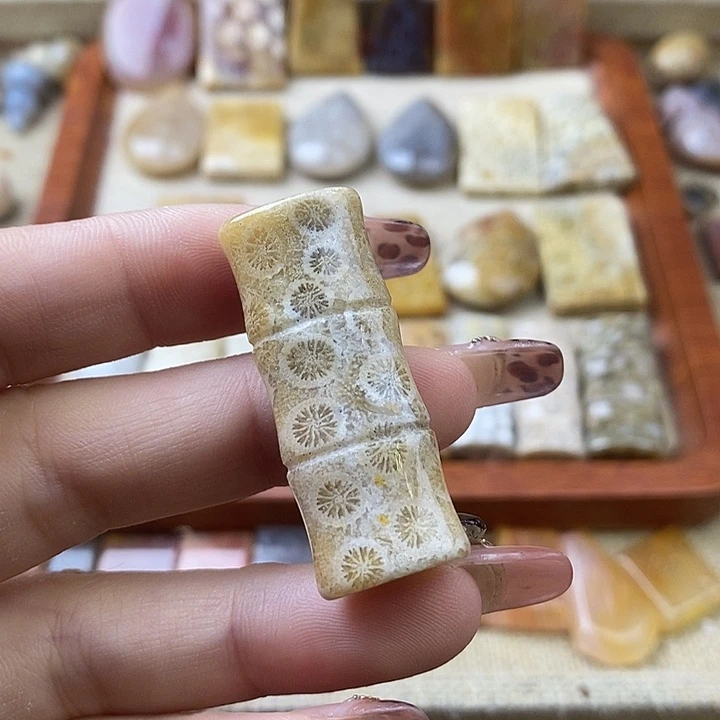 硅化珊瑚（珊瑚玉）未镶嵌颈饰