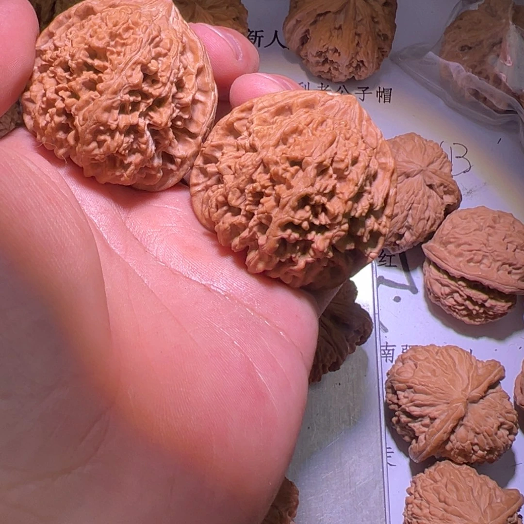 黎*部46满天星一对