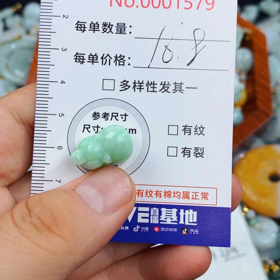 颈饰未镶嵌翡翠1579