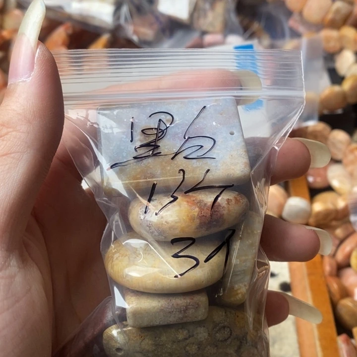 黑***白颈饰未镶嵌硅化珊瑚（珊瑚玉）