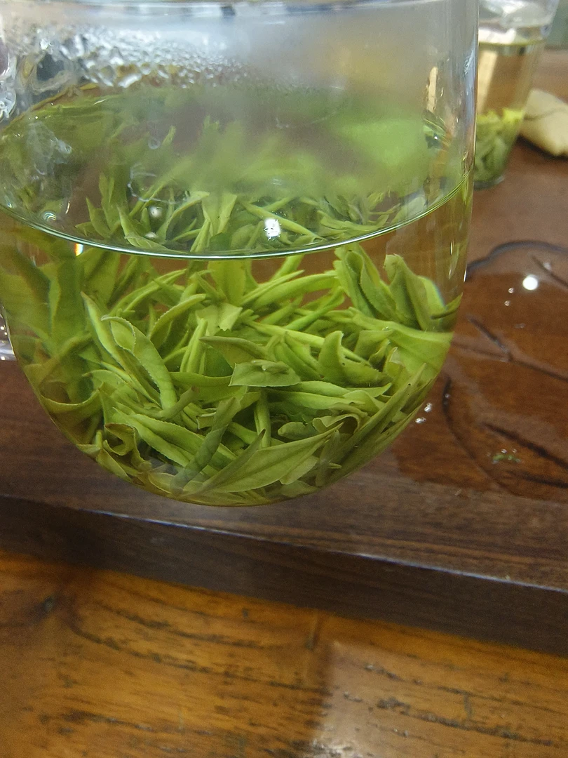 明前高山白茶安吉新茶浓香型绿茶手工茶叶