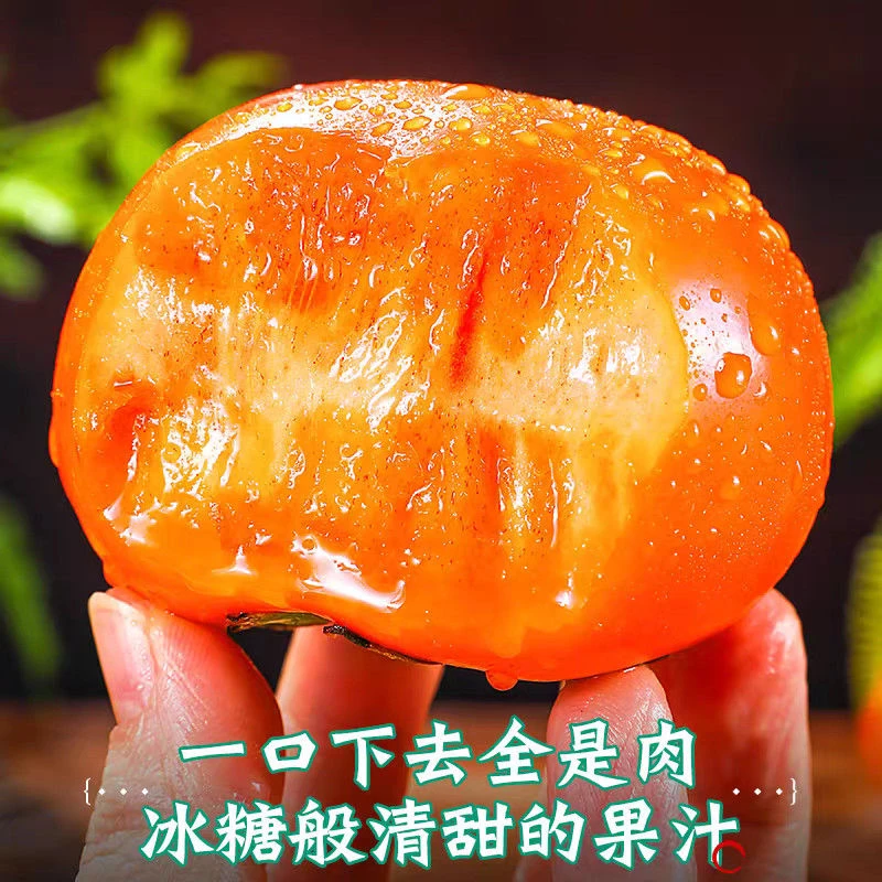 山西巧克力脆柿子当季新鲜水果【青红皮都可食用】