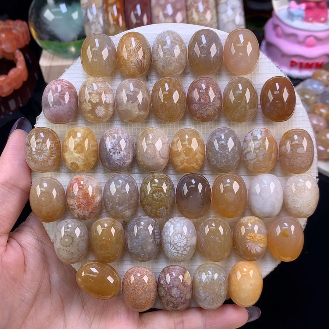 【闪购商品】颈饰未镶嵌硅化珊瑚（珊瑚玉）福利龟背30一个（54号）
