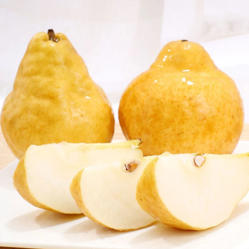 正宗山东烟台中华丑梨子莱阳梨新鲜采摘丑八怪梨软糯香甜