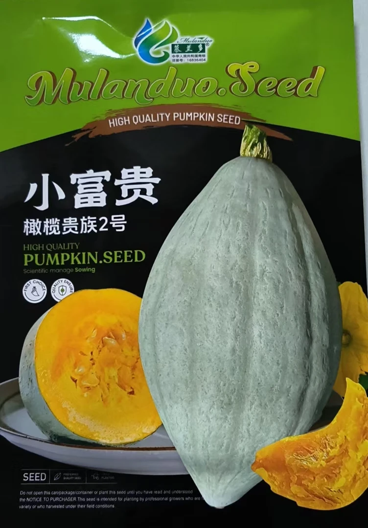 小富贵橄榄贵族南瓜种子丑瓜