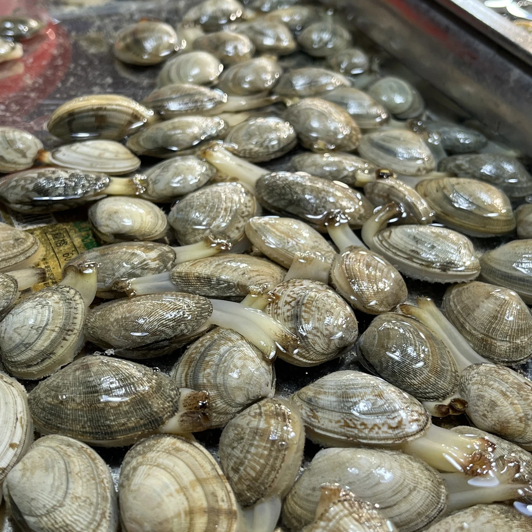 花蛤约250g（煮汤用）