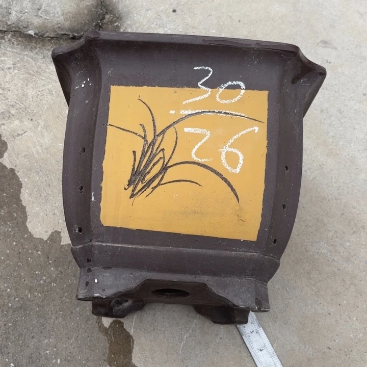 花盆紫砂紫砂的花