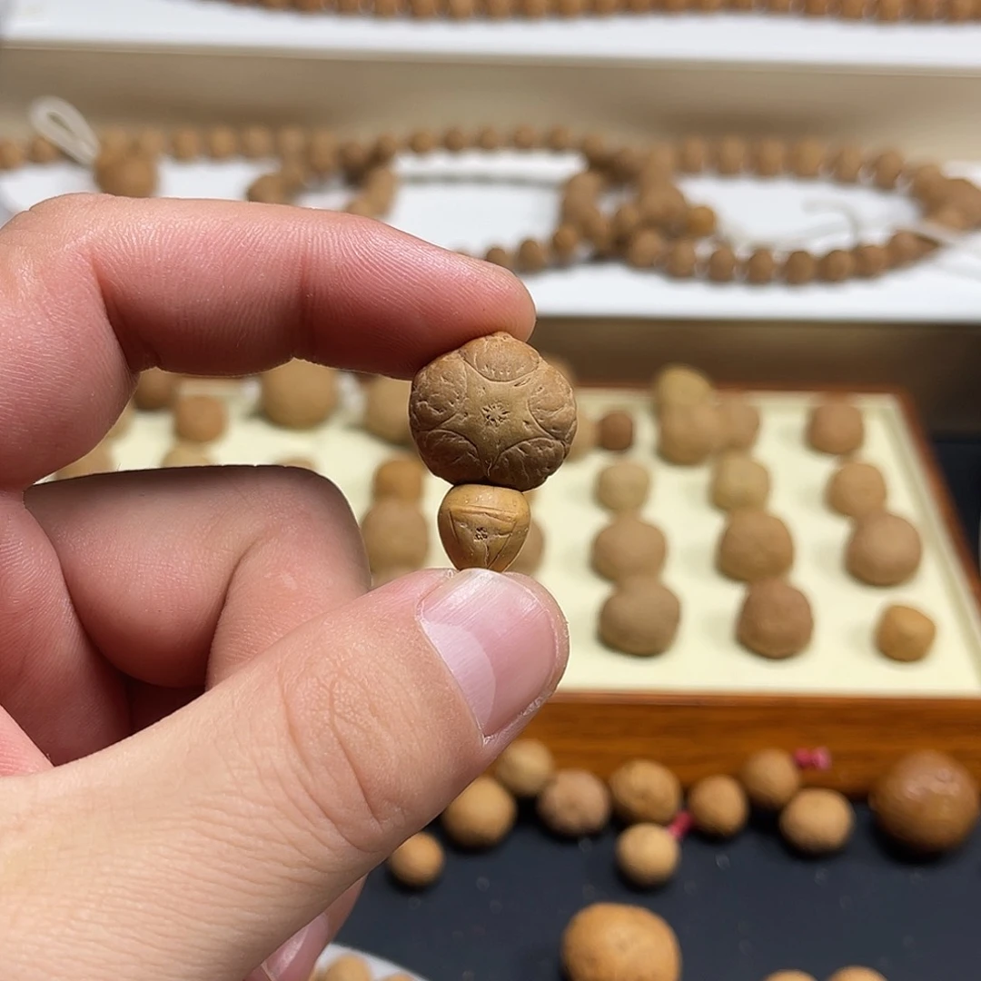 凤眼菩提吊坠恐***?18.5mm五星上将