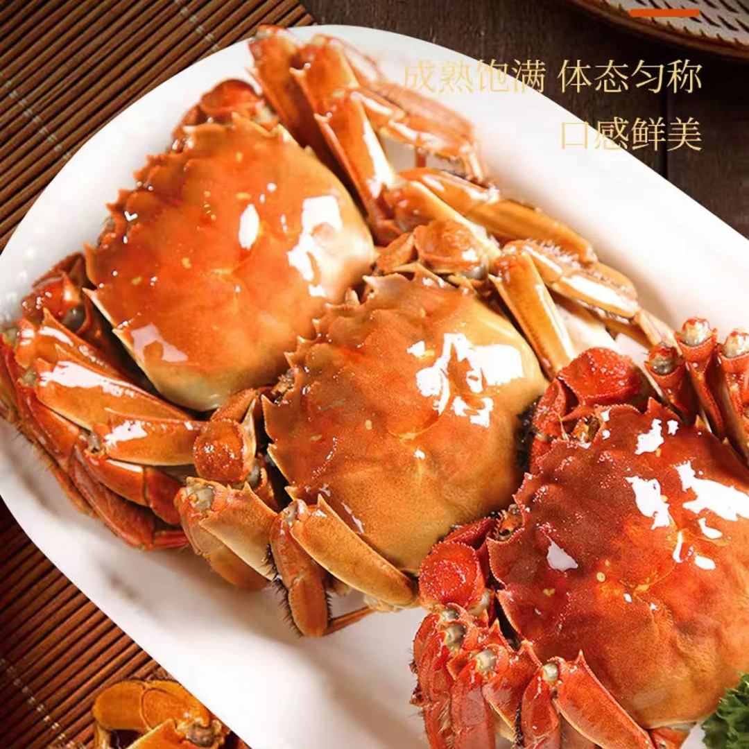 活蟹 919邮政农品节 公母混装 2-3斤 单只0.9-1.5两 冀州螃蟹