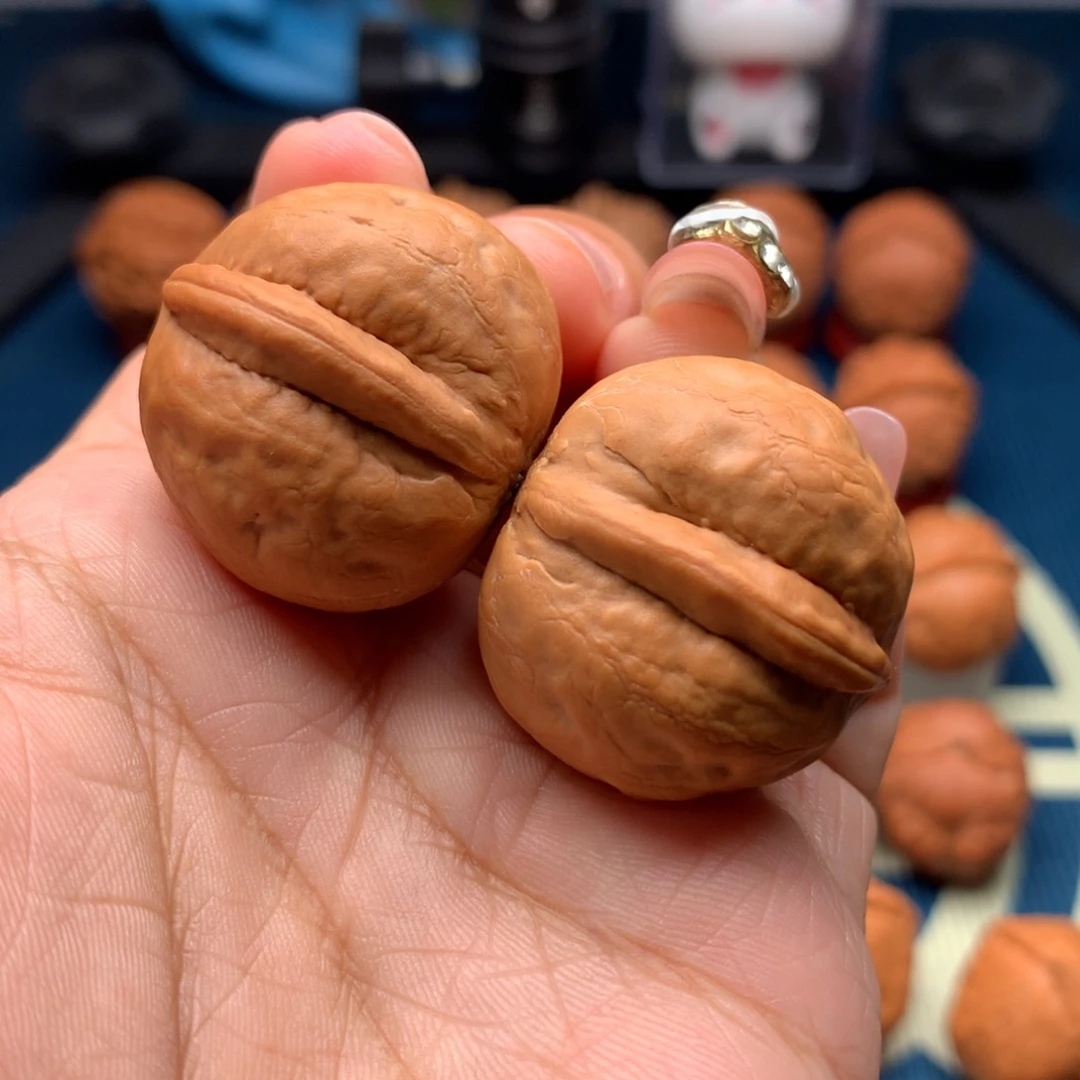 文玩核桃把件小海豚