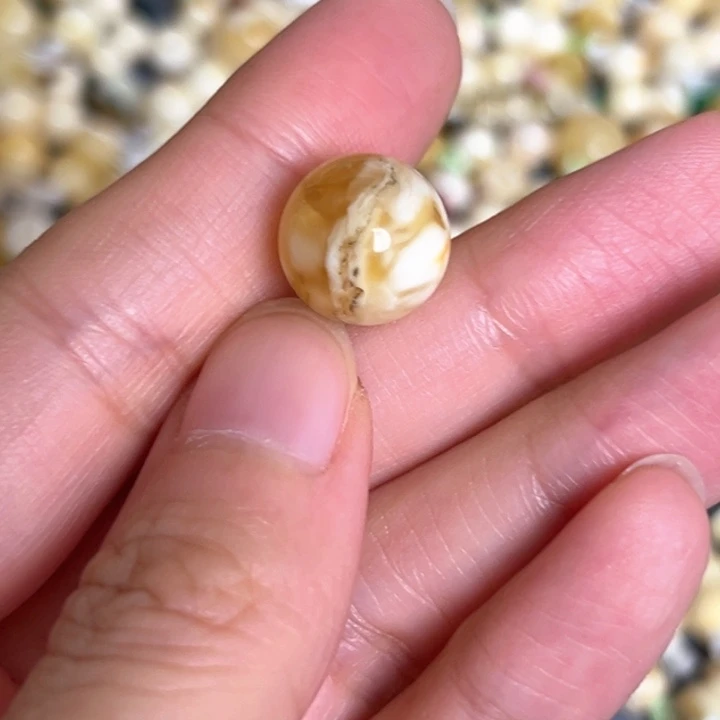 未镶嵌蜜蜡裸石12.7mm一个