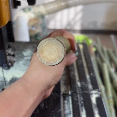 竹林**青实心竹竹竹竹竹竹竹竹竹竹