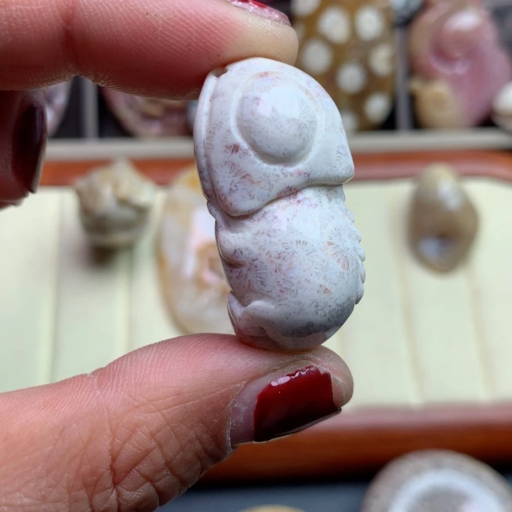 硅化珊瑚（珊瑚玉）颈饰未镶嵌