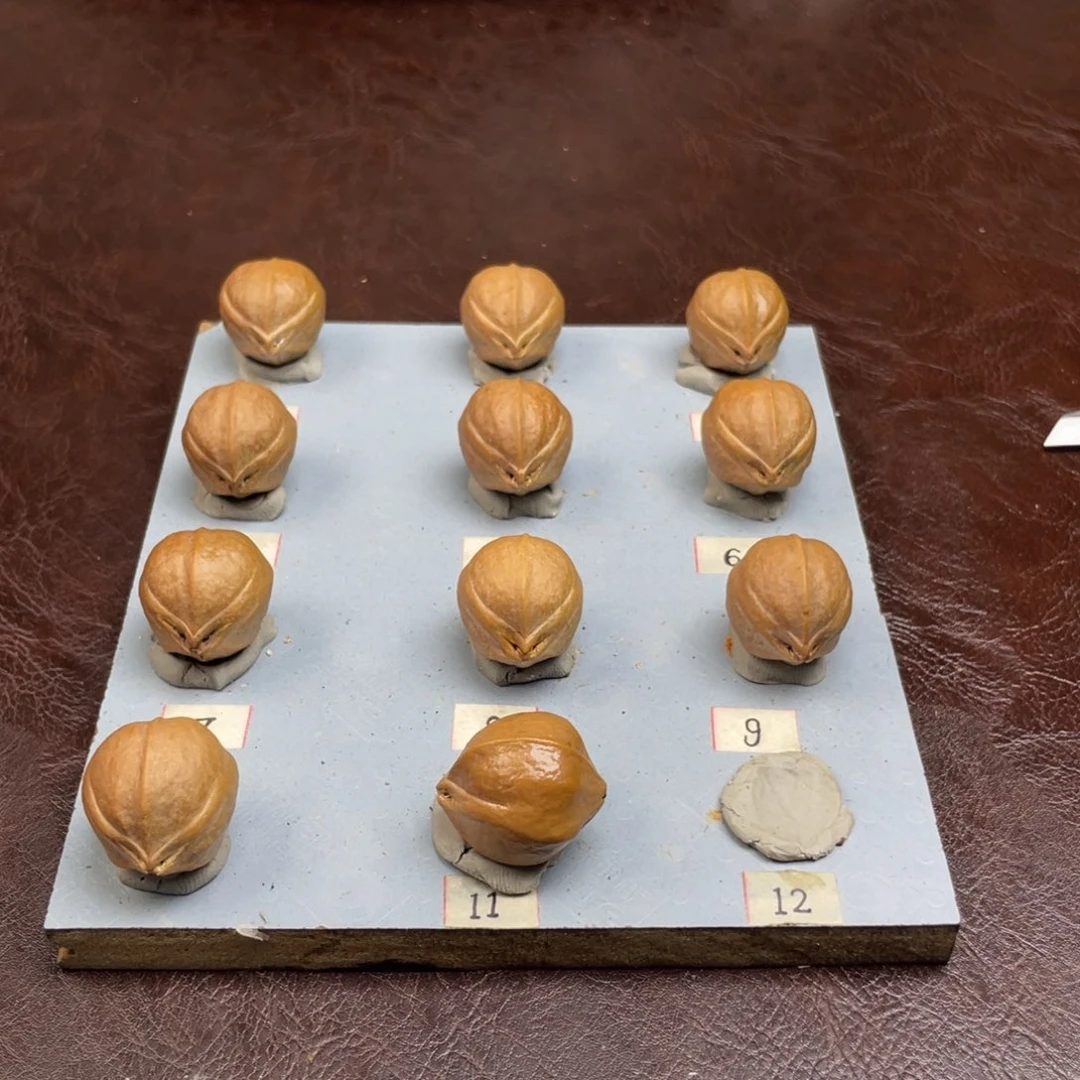 手串/手链橄榄核灬*七22.26三卡梅林铁核加三通