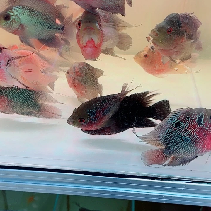 海水啊啊啊啊啊啊啊啊啊