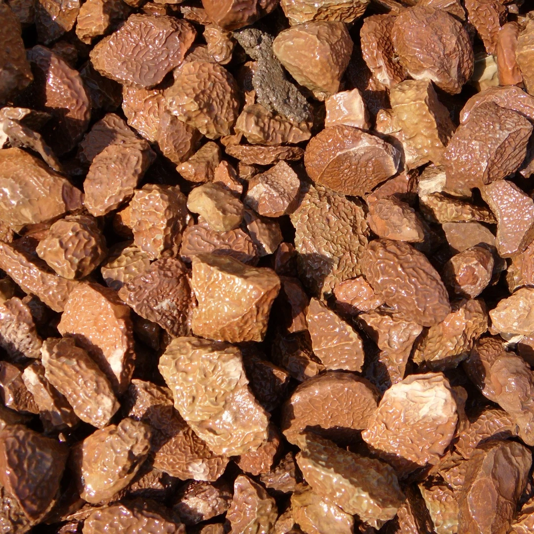 新疆戈壁石泥石风凌石摆件绿植盆景石家居摆件