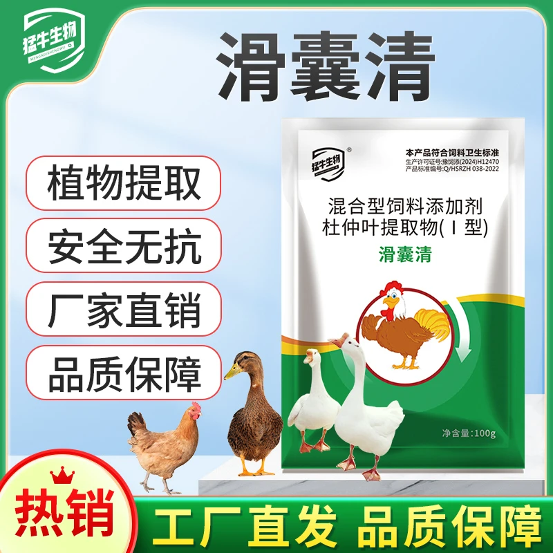 滑囊清鸡滑液囊支原体鸡鸭鹅关节肿大瘫痪趴地滑液囊家禽通用视频