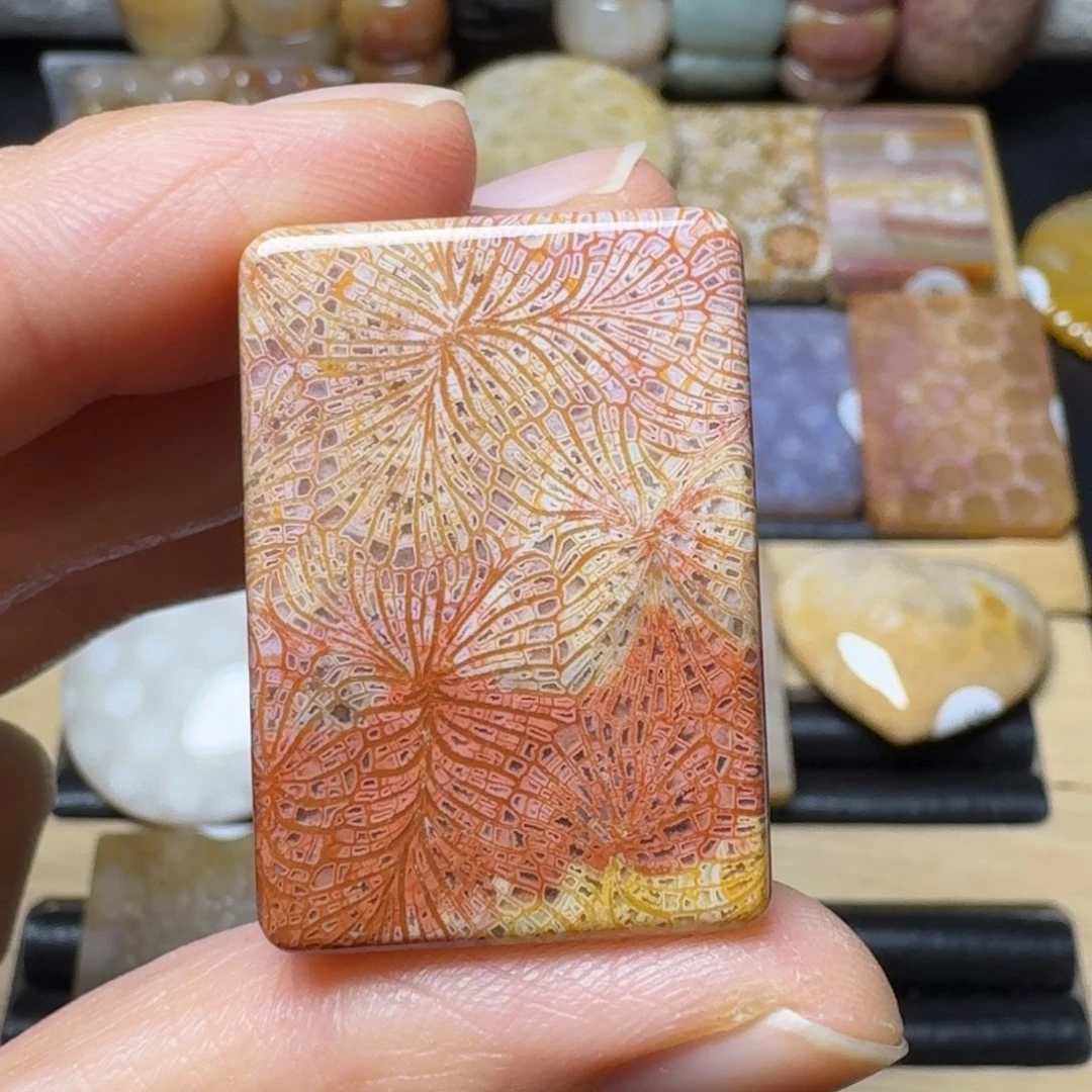 硅化玉翩翩起舞未镶嵌