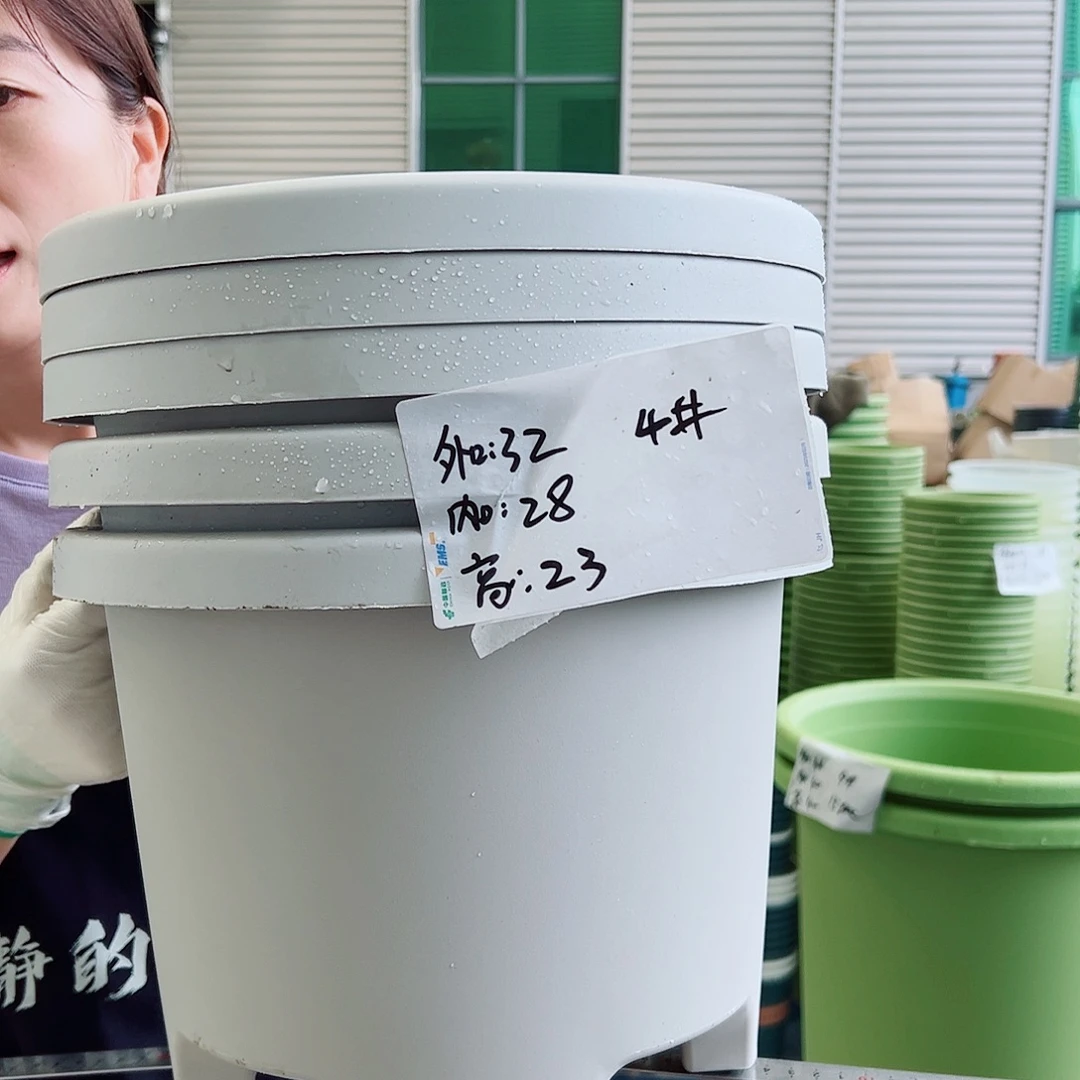 球根盆4#灰白5个无托